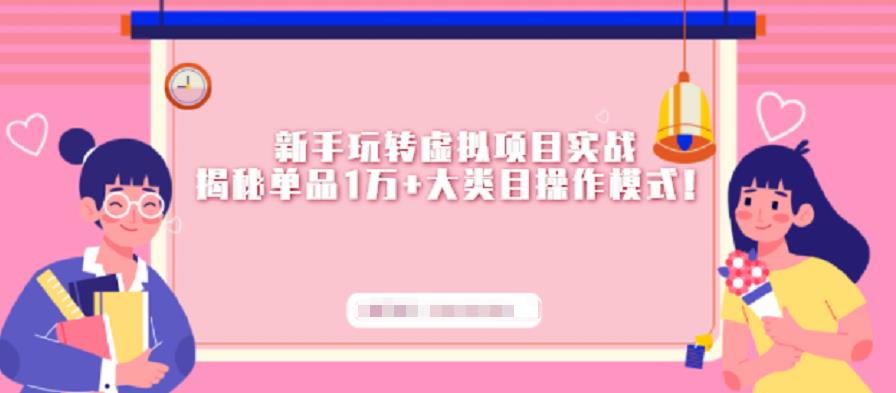 新手玩转虚拟项目实战，揭秘单品1万+大类目操作模式【视频课程】-山河网创