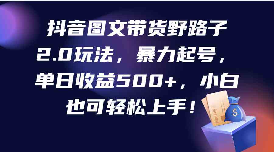 （9790期）抖音图文带货野路子2.0玩法，暴力起号，单日收益500+，小白也可轻松上手！-山河网创