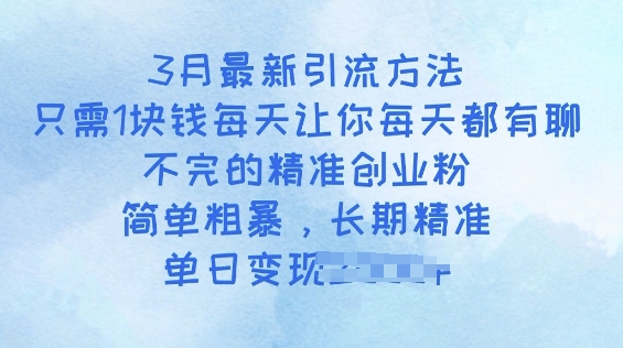 3月最新引流方法，只需1块钱每天让你每天都有聊不完的精准创业粉，简单粗暴，长期精准-山河网创