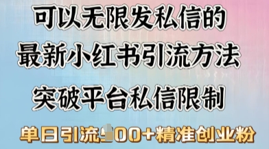 最新“摆烂式”引流打法，小红书私信引流，单天引流100+-山河网创