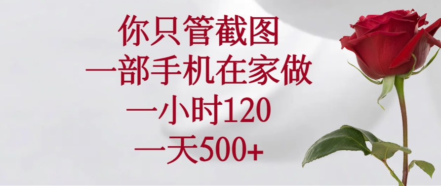 （14248期）你只管截图，一部手机在家做，一小时120，一天500+-山河网创