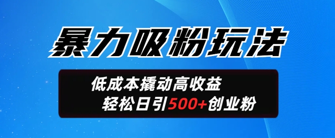暴力吸粉玩法，日引500+精准创业粉，日变现轻松多张-山河网创