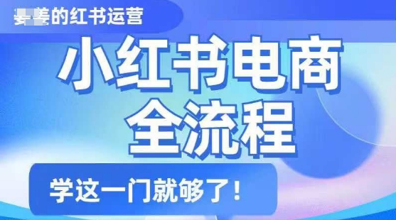 小红书电商全流程，精简易懂，从入门到精通，学这一门就够了-山河网创