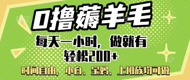 0撸薅羊毛，每天一小时，做就有轻松2张，小白宝妈，上班族均可做-山河网创