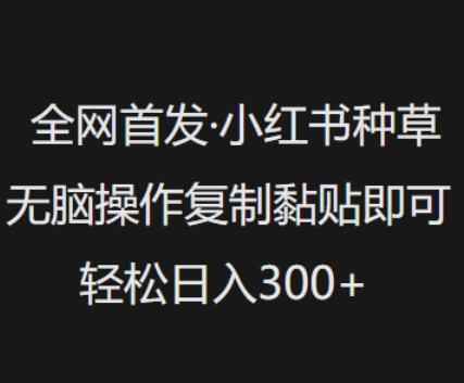 全网首发，小红书种草无脑操作，复制黏贴即可，轻松日入3张-山河网创
