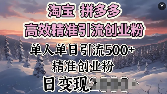 淘宝拼多多高效精准引流创业粉，单人单日引流500+创业粉，日变现多张-山河网创