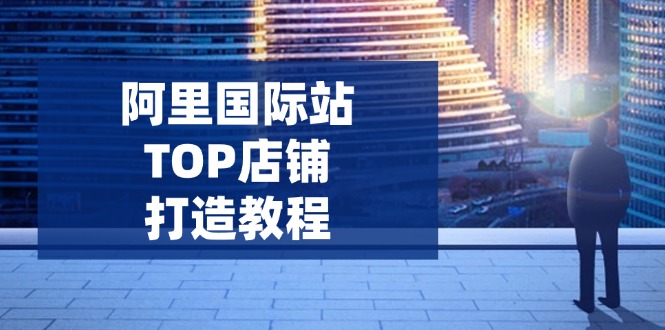 （14269期）阿里国际站TOP店铺打造教程：涵盖平台到高阶，解决运营难题，提升询盘-山河网创