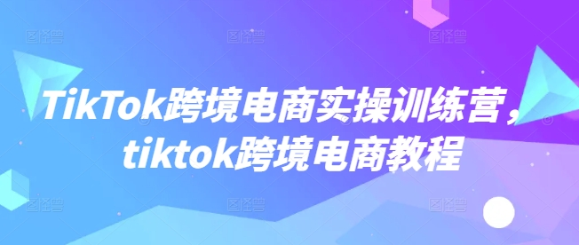 TikTok跨境电商实操训练营，tiktok跨境电商教程-山河网创