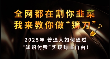 知识付费如何做到月入过W+，2025我来教你做“镰刀”【揭秘】-山河网创