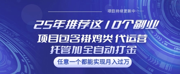 25年推荐这10个副业项目包含褂鸡类、代运营托管类、全自动打金类【揭秘】-山河网创