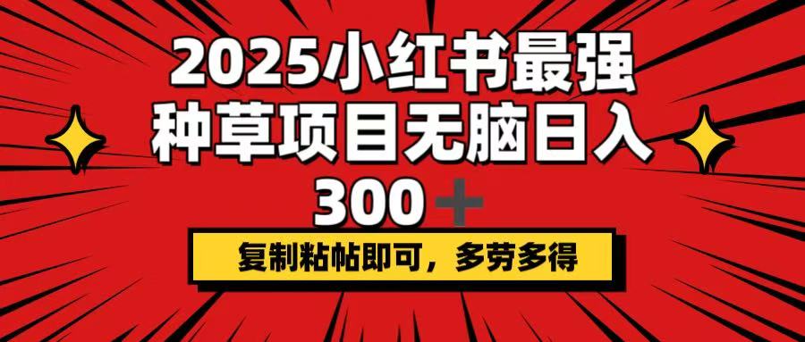 （14375期）2025小红书最强种草项目，无脑日入300+，复制粘帖即可，多劳多得-山河网创