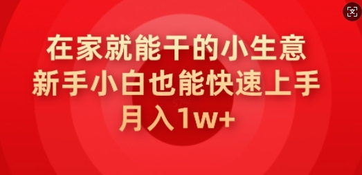在家就能干的小生意，新手小白也能快速上手，月入1w-山河网创