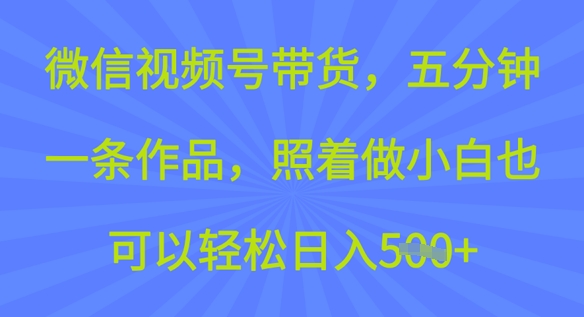微信视频号带货，五分钟一条作品，照着做小白也可以轻松日入5张-山河网创