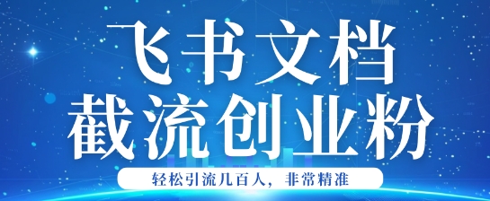 利用飞书文档截流创业粉轻松引流200+-山河网创