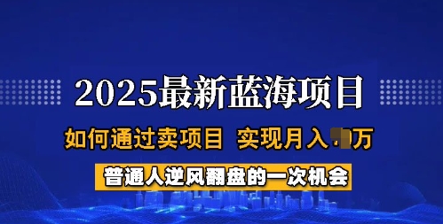 2025蓝海项目，普通人如何通过卖项目，实现月入过W，全过程【揭秘】-山河网创