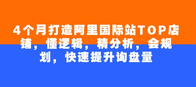 4个月打造阿里国际站TOP店铺，懂逻辑，精分析，会规划，快速提升询盘量-山河网创