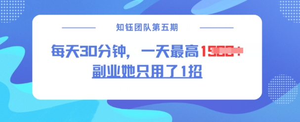 副业她只用了1招，每天30分钟，无脑二创，一天最高1.5k-山河网创