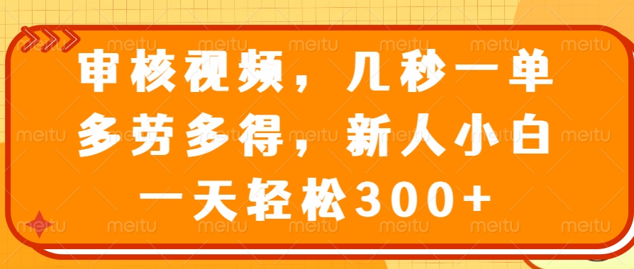（14294期）审核视频，几秒一单，多劳多得，新人小白一天轻松300+-山河网创