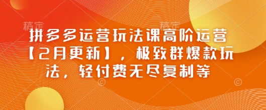 拼多多运营玩法课高阶运营【2月更新】，极致群爆款玩法，轻付费无尽复制等-山河网创