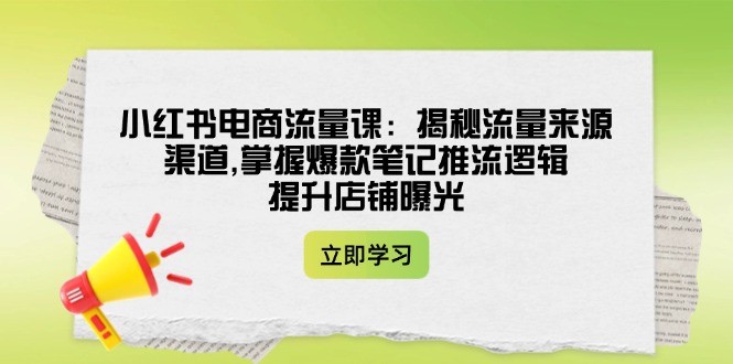 （14318期）小红书电商流量课：揭秘流量来源渠道,掌握爆款笔记推流逻辑,提升店铺曝光-山河网创