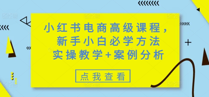 小红书电商高级课程，新手小白必学方法，实操教学+案例分析-山河网创