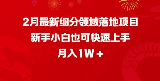 2月最新细分领域落地项目，新手小白也可快速上手，月入1W-山河网创