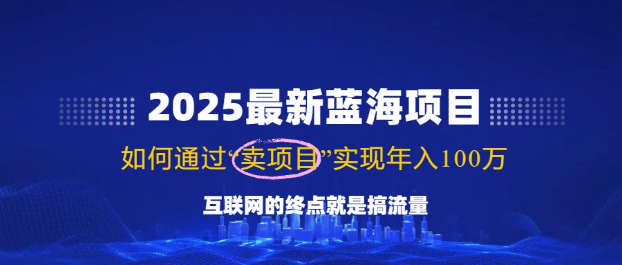 （14305期）2025最新蓝海项目，零门槛轻松复制，月入10万+，新手也能操作！-山河网创