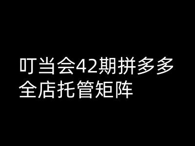 叮当会拼多多打爆班原创高阶技术第42期，拼多多全店托管矩阵-山河网创